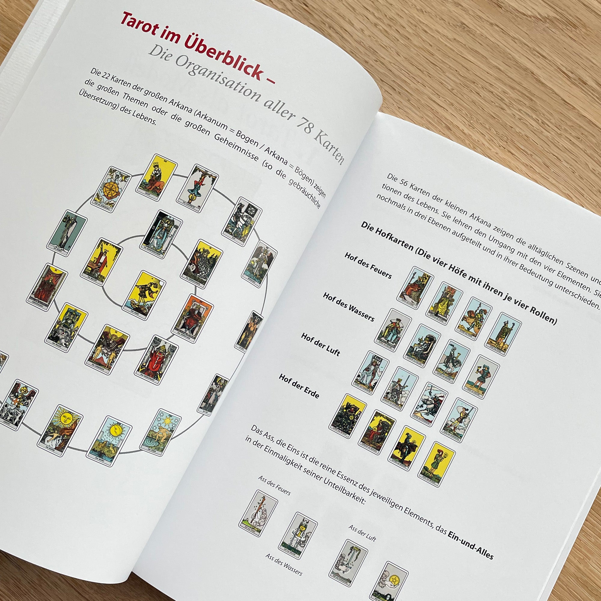 Das große Tarot-Praxisbuch - Lilo Schwarz