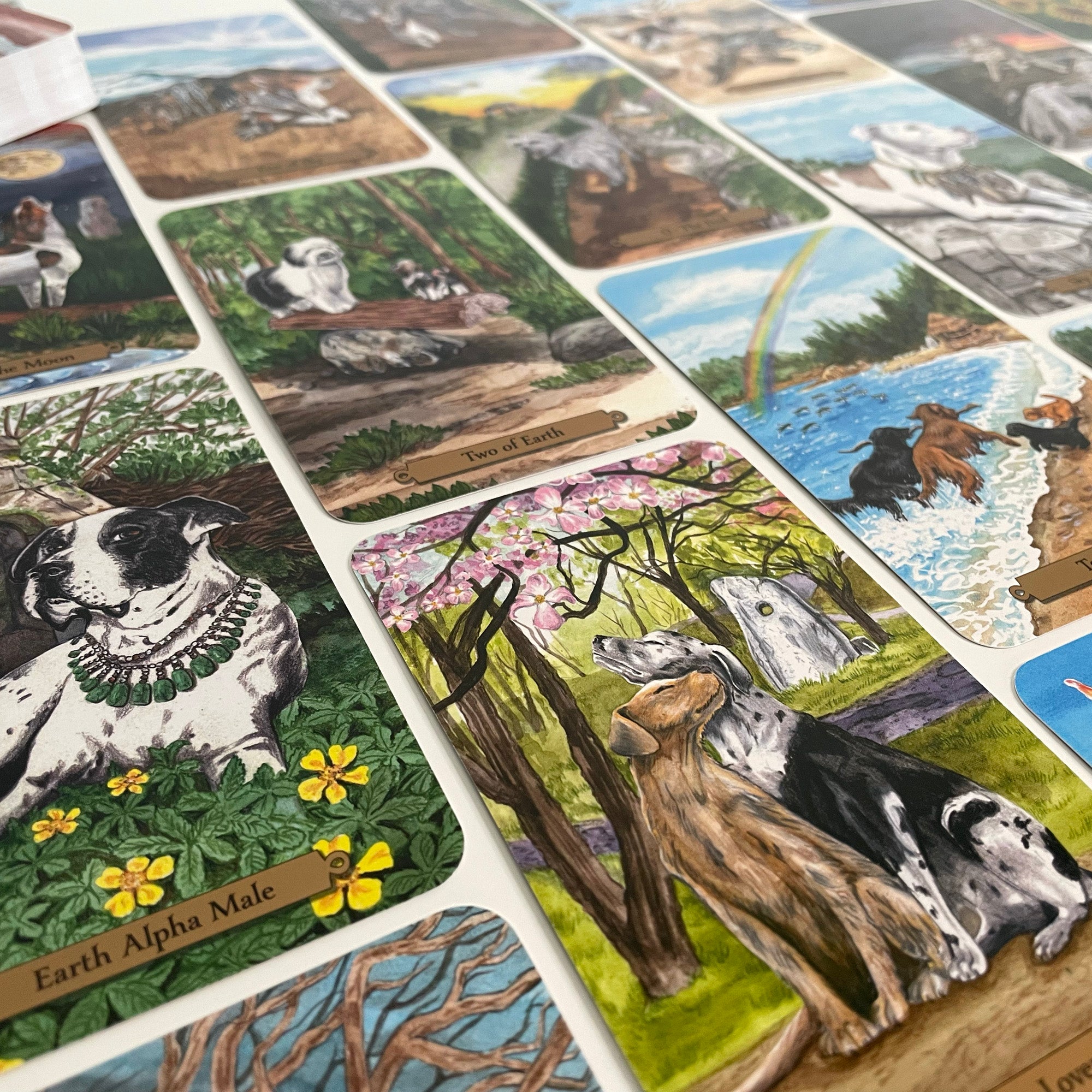Magical Dogs Tarot