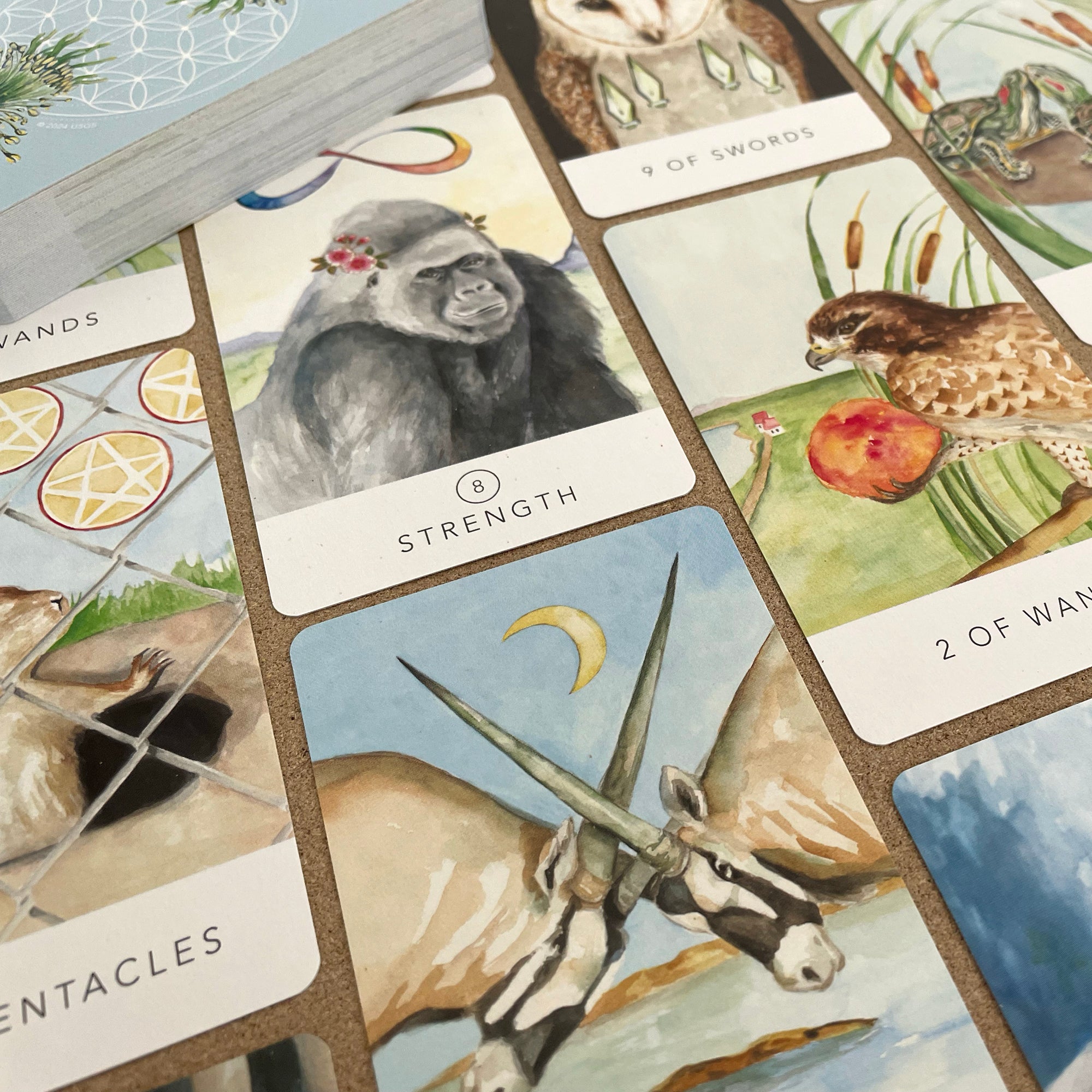 Black Seed Tarot
