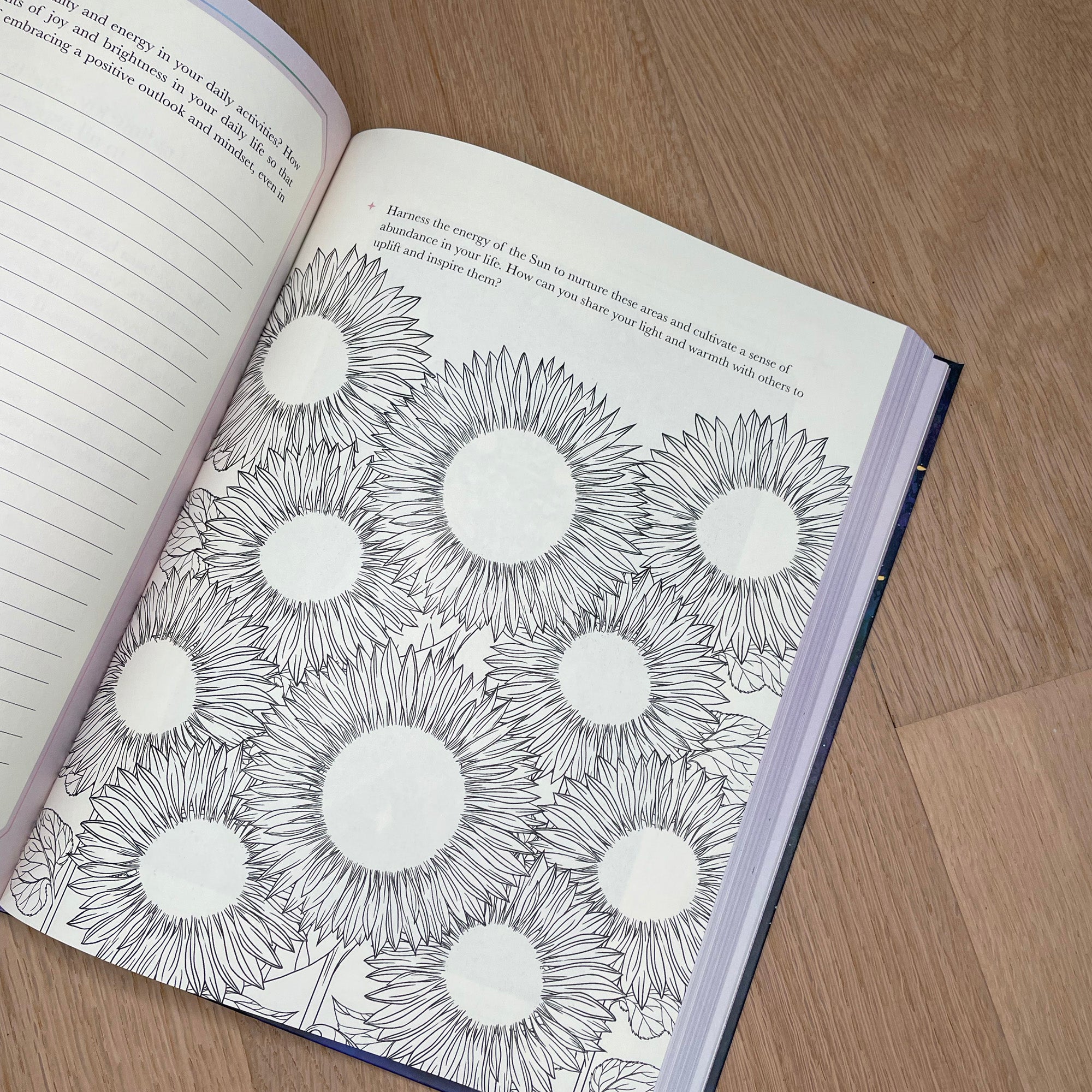 Oriens Animal Light Journal - Ambi Sun